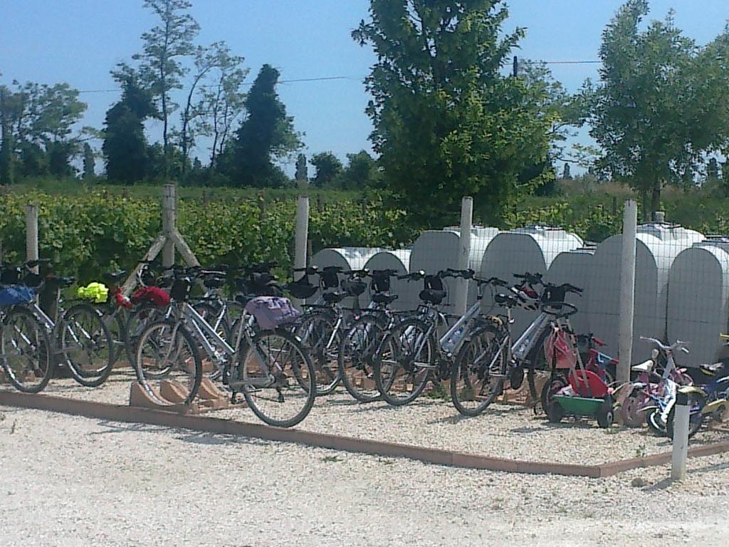 Country House Salome Musile di Piave Exterior foto